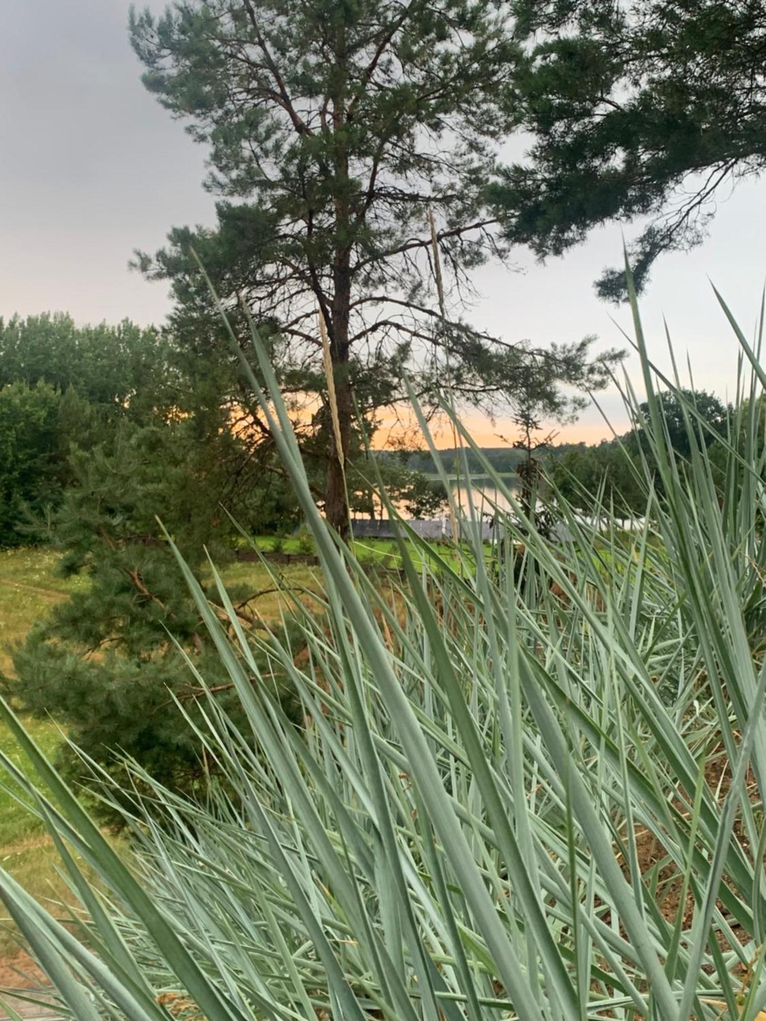 Dom Nad Jeziorem Gaja House Jadamowo Esterno foto